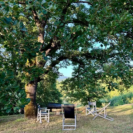 La Stellina - Relax Immersi Nella Natura
